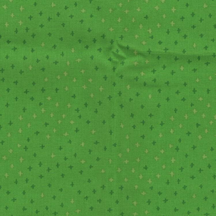 Windham Color Club groen werkje