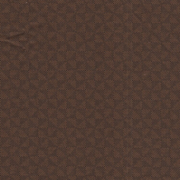 Andover Square Dance bruin