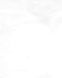 Backing (achterkant) voor wholecloth quilttop wit