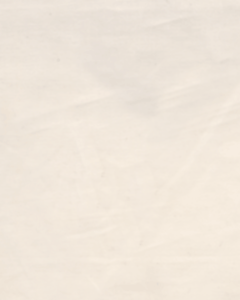 Backing (achterkant) voor wholecloth quilttop naturel