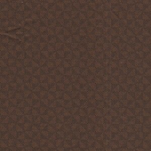 Andover Square Dance bruin