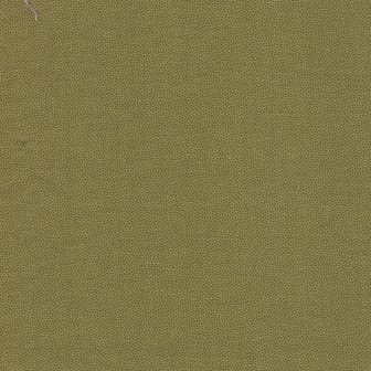 Dutch Heritage Pindot Olive