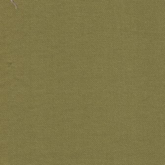 Dutch Heritage Pindot Olive