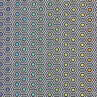 Free Spirit Linework zwart-wit-regenboog hexagon