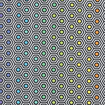 Free Spirit Linework zwart-wit-regenboog hexagon