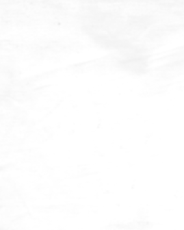 Backing (achterkant) voor wholecloth quilttop wit