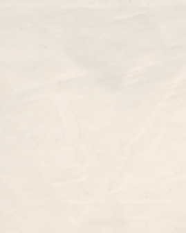 Backing (achterkant) voor wholecloth quilttop naturel