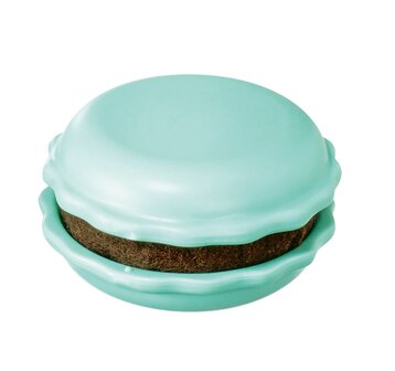 Clover Sweet &#039;n Sharp Macaron Pistachio