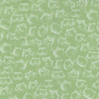 Windham Fabrics Purrfect Day groen kattekopjes