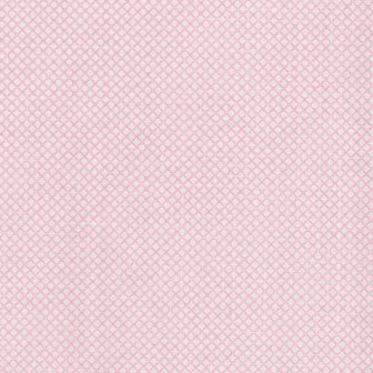 Riley Blake Stitch roze mini ruitje