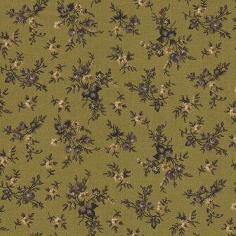 Henry Glass Fabrics Right as Rain groen takje