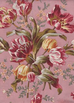 Andover Lady Tulip roze grote tulp