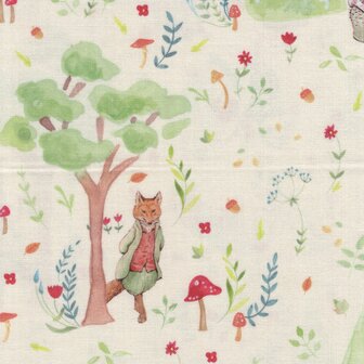 Craft Cotton Company Peter Rabbit Morning Stroll