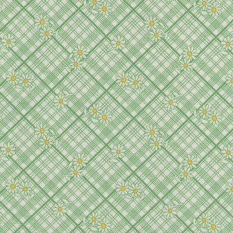 Marcus Aunt Grace Calicos groen ruitje