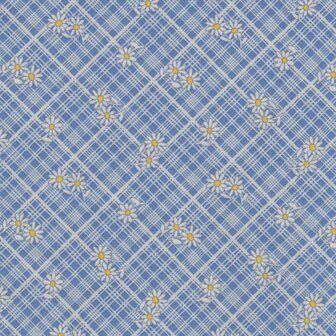 Marcus Aunt Grace Calicos blauw ruitje
