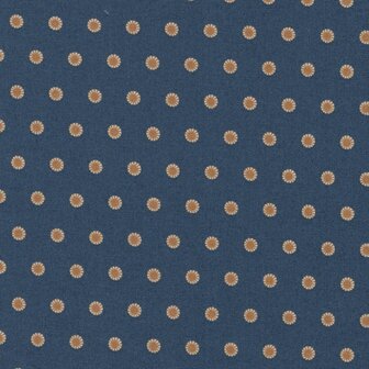 Andover Beach House blauw oker stip