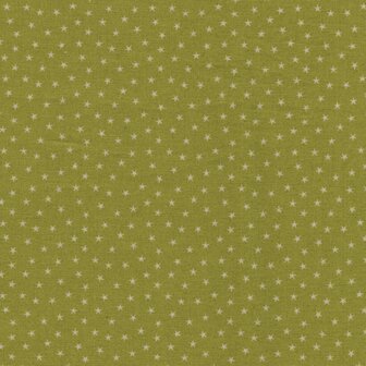 Andover Twinkle groen wit sterretje