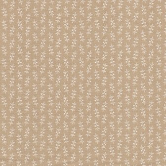 Andover Latte Top Dot ecru werkje