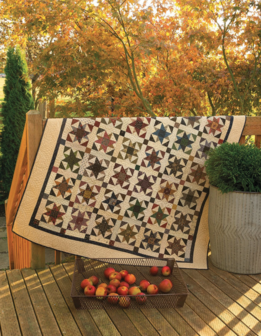 boek: Quilt Club - Paula Barns and Mary Ellen
