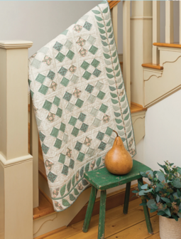 boek: Plain &amp; Fancy Quilts - Dawn Heese