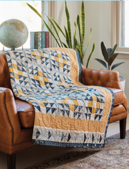 boek: Plain &amp; Fancy Quilts - Dawn Heese