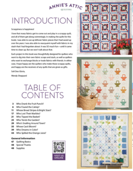 Boek: Scrap Quilting - Wendy Sheppard
