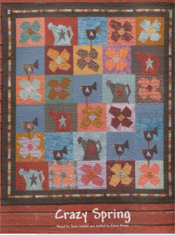 boek: Absolutely Crazy - Janet Nesbitt