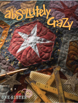 boek: Absolutely Crazy - Janet Nesbitt