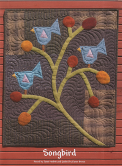 boek: Absolutely Crazy - Janet Nesbitt