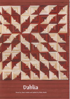 boek: Absolutely Crazy - Janet Nesbitt