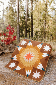 boek: Lone Star Legacy Quilts - Lindlee Smith