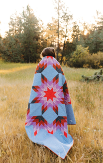 boek: Lone Star Legacy Quilts - Lindlee Smith