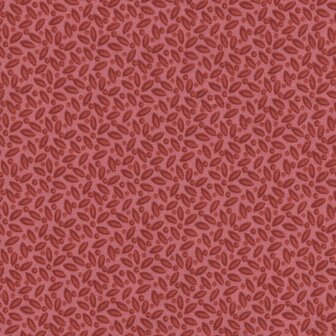 Andover Always and Forever roze rood werkje