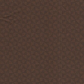 Andover Square Dance bruin