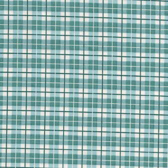 Andover Oakleigh blauw ruitje