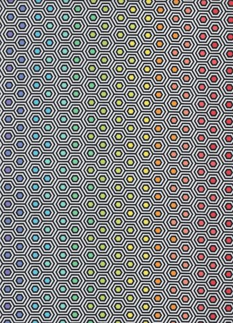 Free Spirit Linework zwart-wit-regenboog hexagon