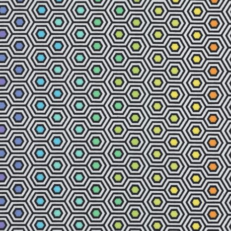 Free Spirit Linework zwart-wit-regenboog hexagon