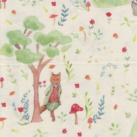 Craft Cotton Company Peter Rabbit Morning Stroll