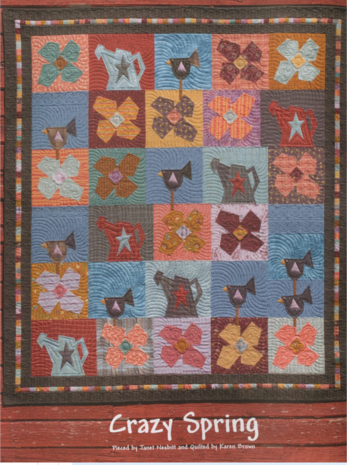 boek: Absolutely Crazy - Janet Nesbitt