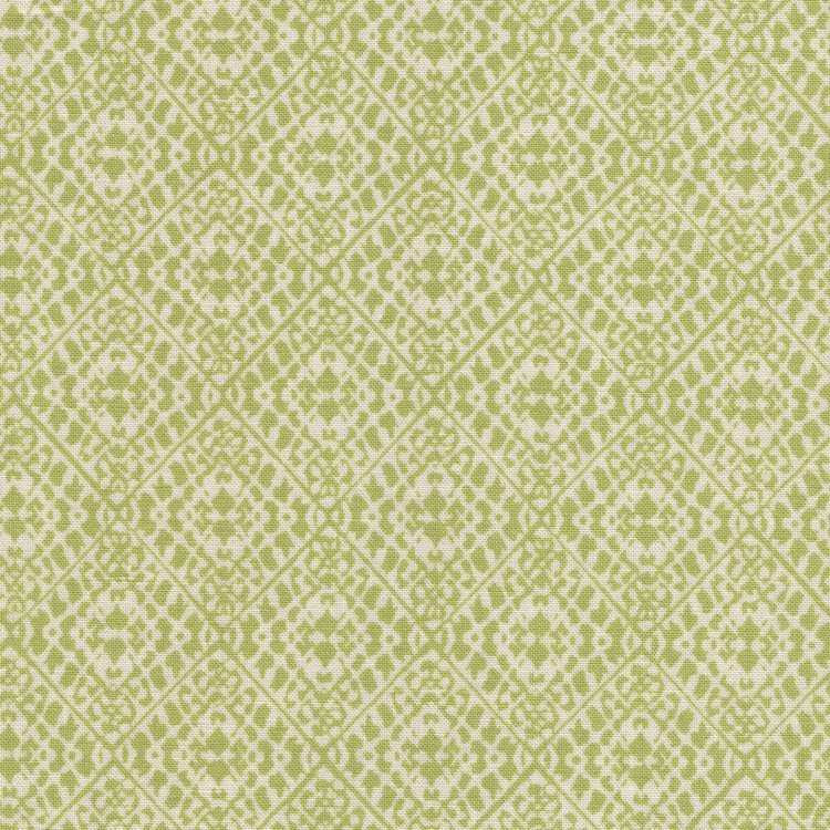 Free Spirit A Celebration of Sanderson wit groen figuur