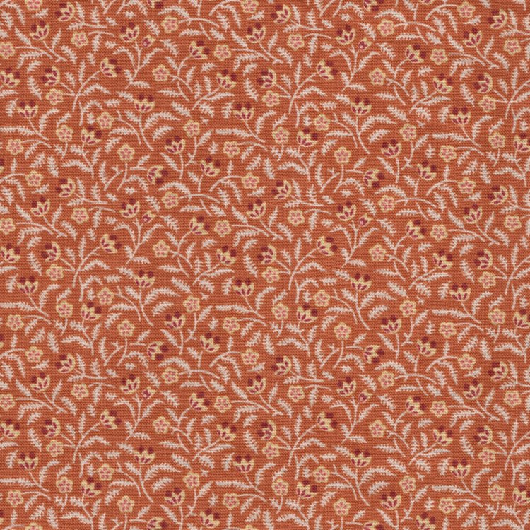 Andover Lady Tulip oranje takje