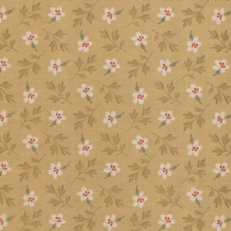 Andover Lady Tulip geel wit bloemetje