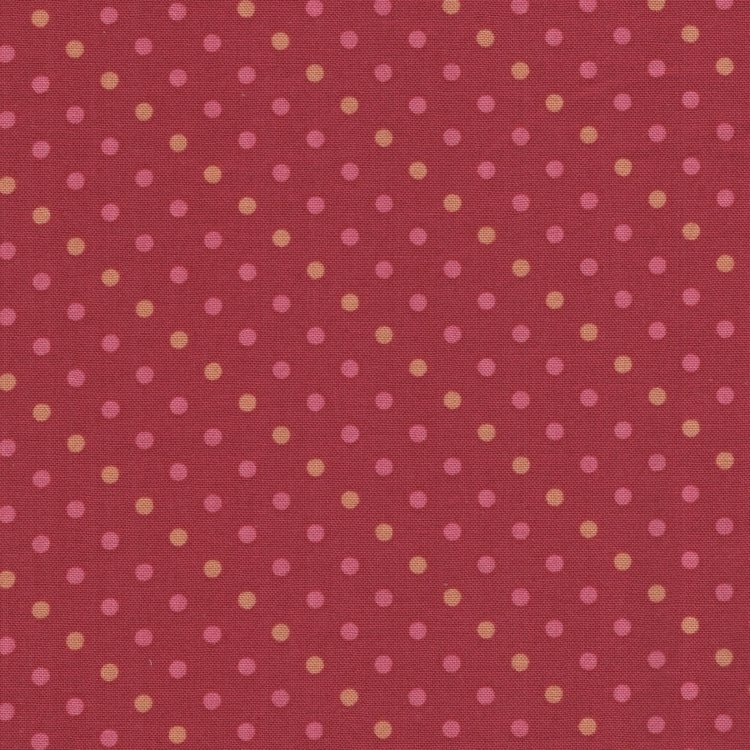 Andover Lady Tulip rood stipje