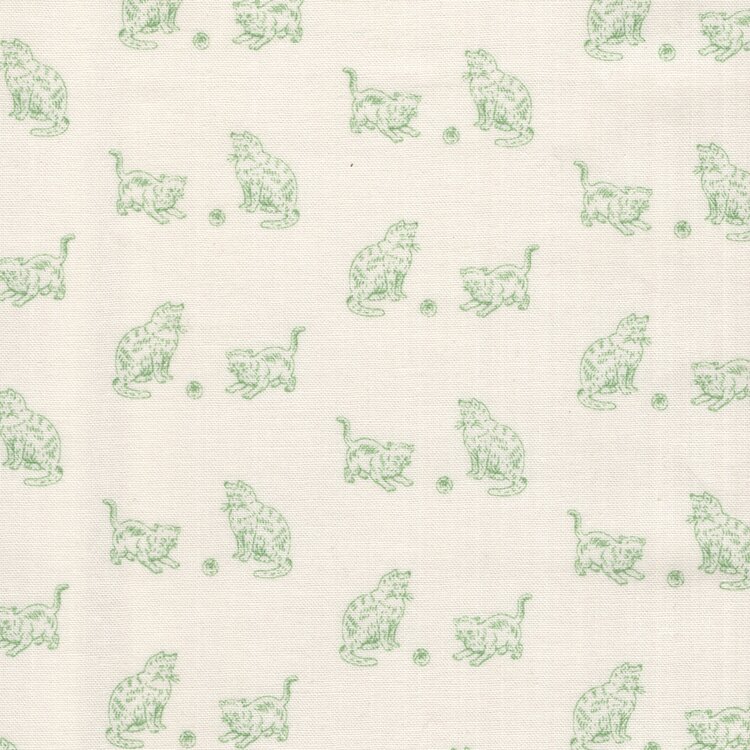 Andover Max & Louise ecru mint poesje