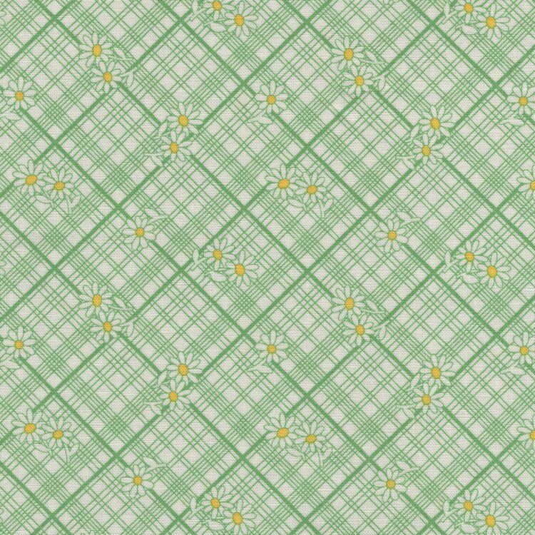 Marcus Aunt Grace Calicos groen ruitje