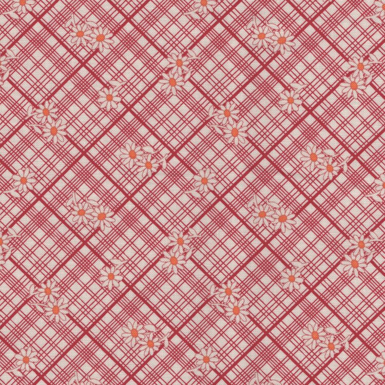 Marcus Aunt Grace Calicos rood wit ruitje