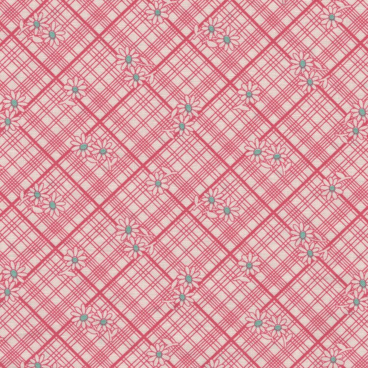 Marcus Aunt Grace Calicos roze wit ruitje