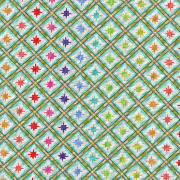 Free Spirit Tula Pink Roar multi kleur ruit