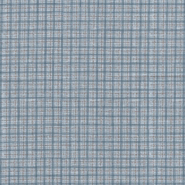 Lynette Anderson blauw mini ruitje