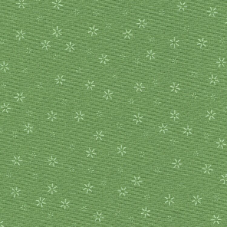 Andover Plain and Simple groen sterretje